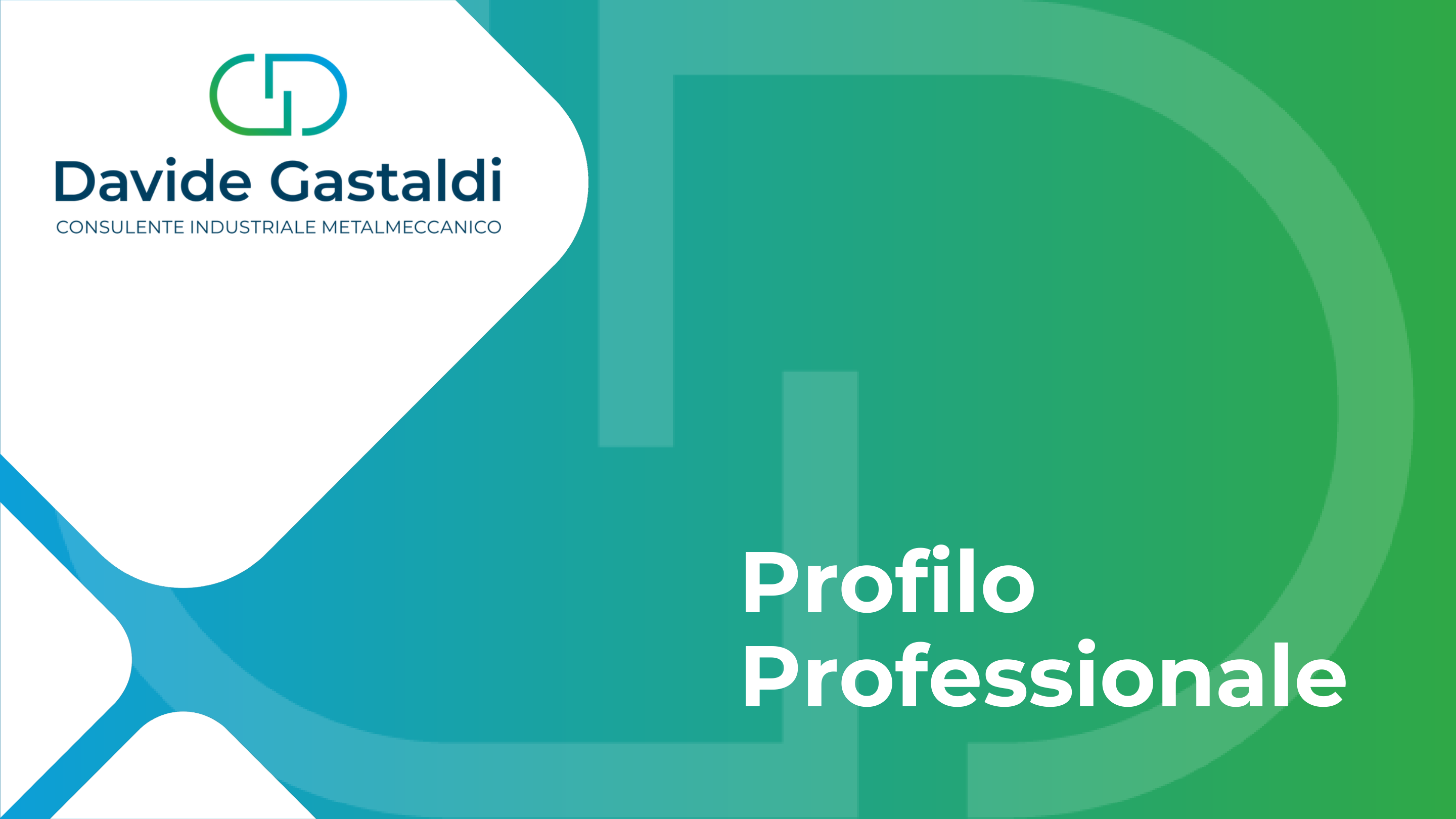 Anteprima del PDF Profilo Professionale